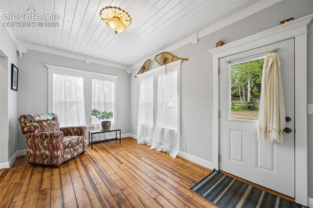 33 Maid Marian Dr, Divide, CO - View 3