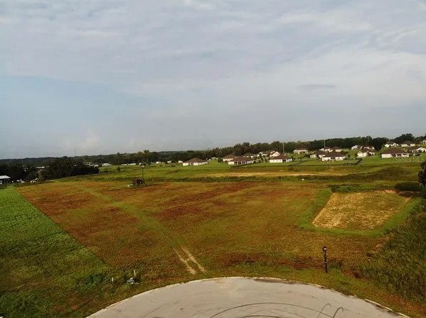 10016 WHITE EGRET DRIVE LOT 92, THONOTOSASSA, FL 33592