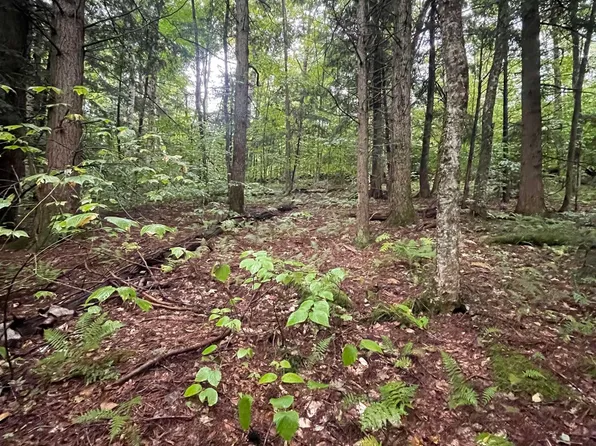 00 Hinkley Brook Road, Grafton, VT 05146