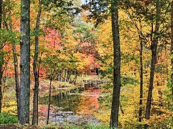 3rd image of 10 Whitman Pond Road