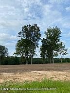 2nd image of 72 Pebble Cv N #72