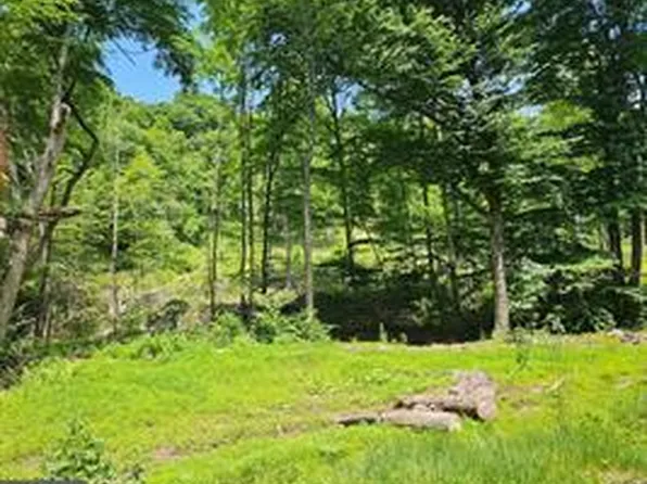 Tiger Valley Rd, Hyndman, PA 15545