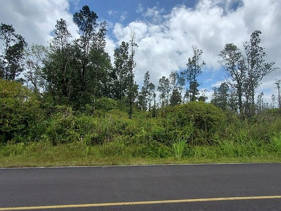2nd image of Tree Fern Dr Lot 12