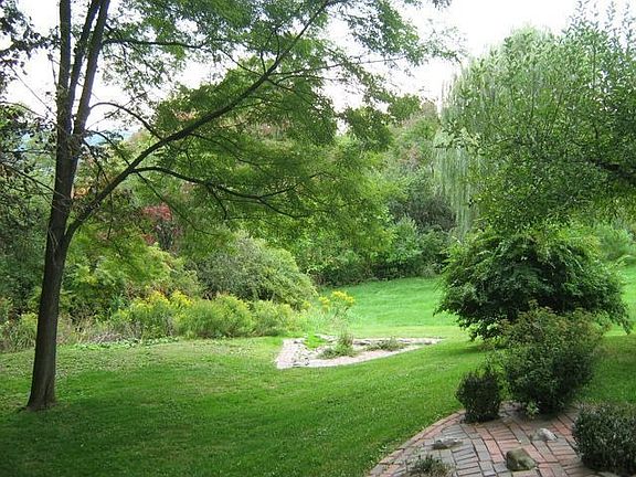 Back yard, facing east