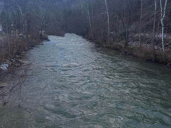 5th image of 13 Elk St