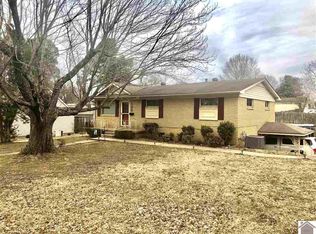 100 Lake Dr, Mayfield, KY 42066