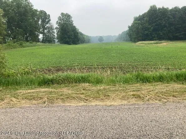 0 Birchridge Dr Parcel G, Charlotte, MI 48813