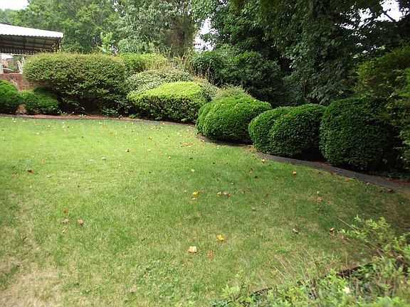 Rear Yard Upper Level