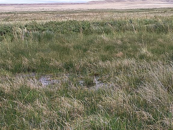 5th image of Nhn Stagecoach Spur