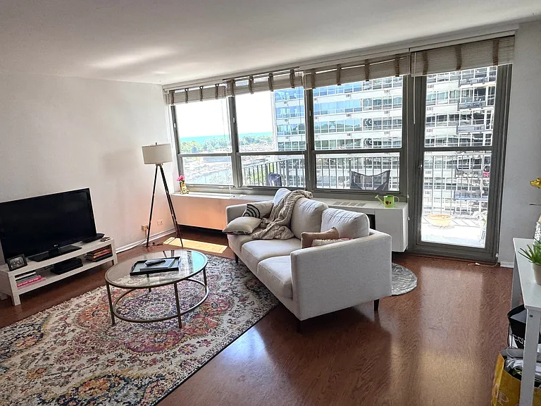 3550 N Lake Shore Dr #919 — Photo 3