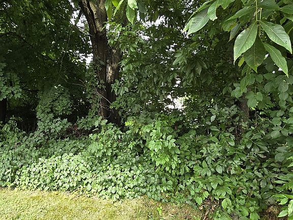 3rd image of 0 Middlesex Ave