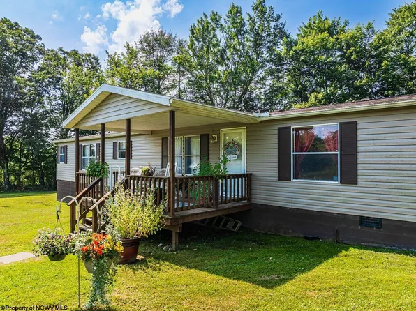 1698 Little Sandy Rd, Bruceton Mills, WV 26525