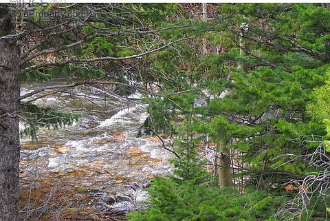 2nd image of 718 Peaceful Valley Rd