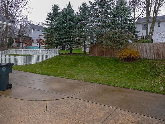 Back yard