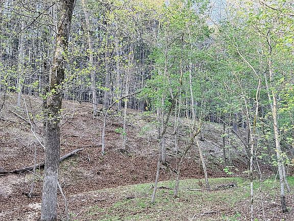 4th image of 17237 Robinson Rd