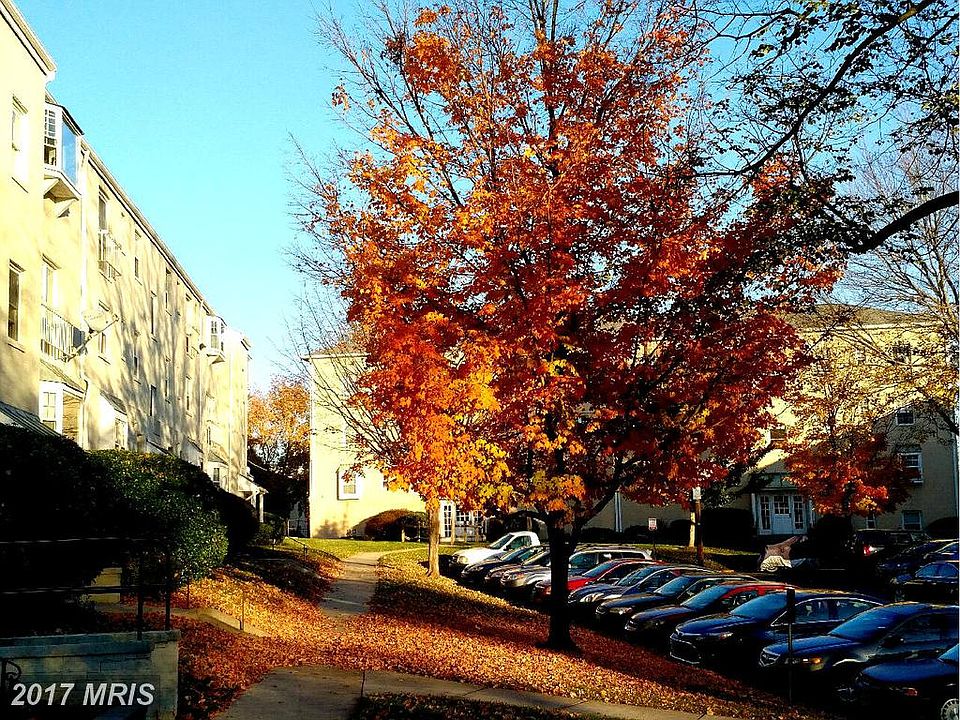 1st image of 2905 Willston Pl Suite 101