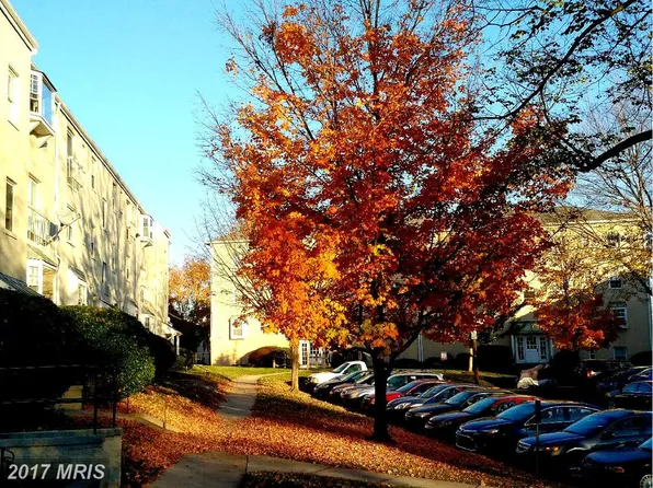 2905 Willston Pl Suite 101, Falls Church, VA 22044