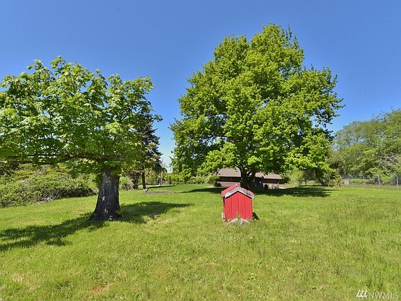 Majestic oak tree with the well house in the foreground