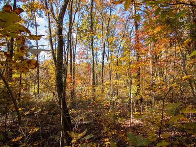 24 Ridgeway Church Rd, Ellijay, GA, 30540