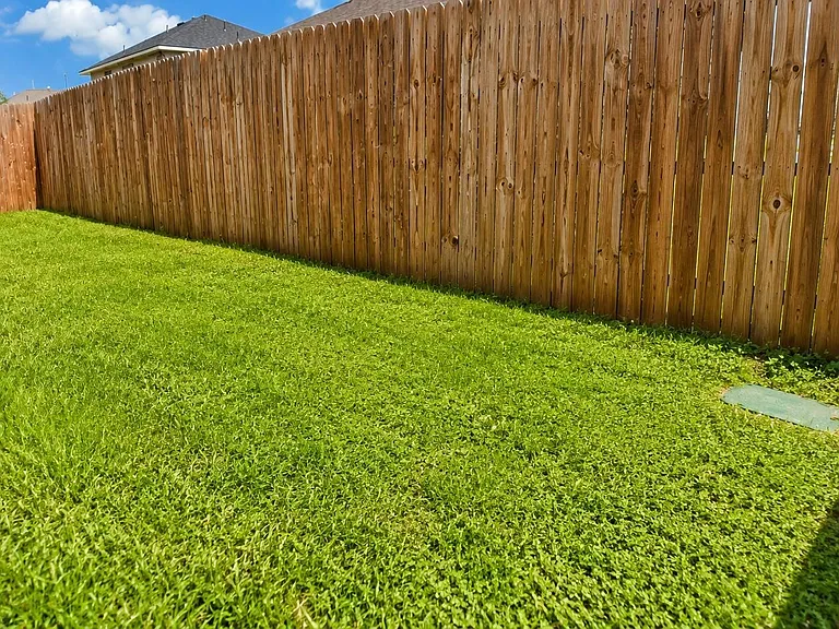 7543 Legacy Pines Dr — Photo 29