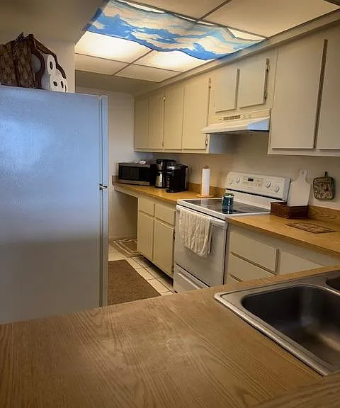 2469 S Washington Ave #310C — Photo 6