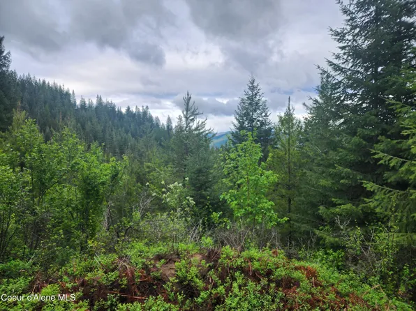 370 Hemlock Ln, Fernwood, ID 83830