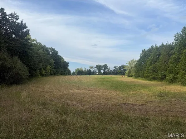 Pinckney St, Warrenton, MO 63383