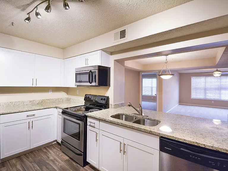 Stainless Steel Appliances*