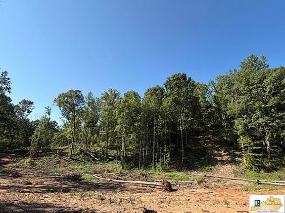 3rd image of 10 Frenchman Knob Rd