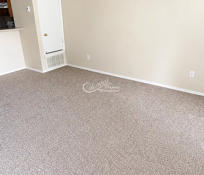 2710 Vernice Loop #B — Photo 4