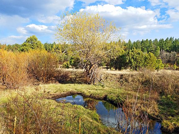 4th image of 0 County Road 2026 N