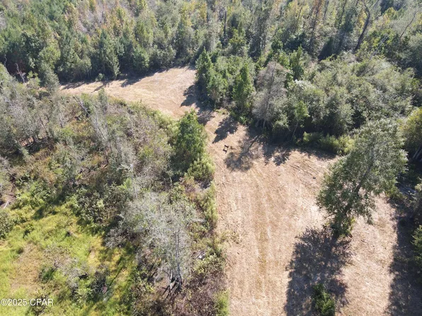 0 Brushey Pond Rd, Grand Ridge, FL 32442