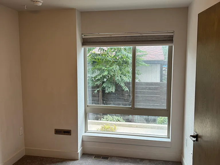 Guest Bedroom / Study