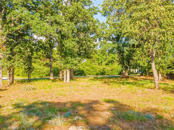 Meadowood Dr, Normangee, TX 77871