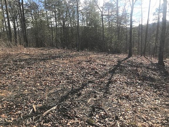 4th image of 31 Cloudburst Dr Lot 27