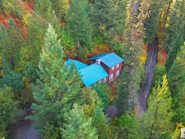 11 Upper Coyote Holw, Swan Valley, ID 83449