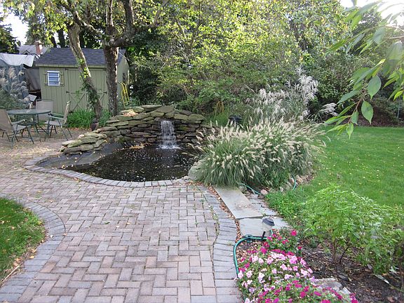 Koi Pond