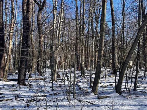 Aspen Ter #705, Tobyhanna, PA 18466
