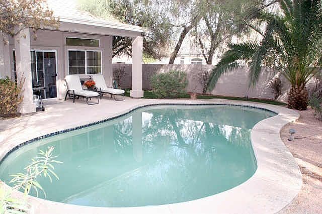 Lush back yard - Big trees, Pool & grassy play area