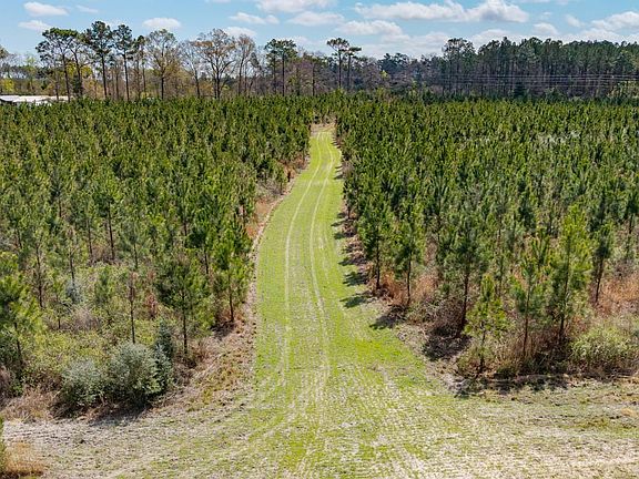 Dji 20260310131014 0028 D