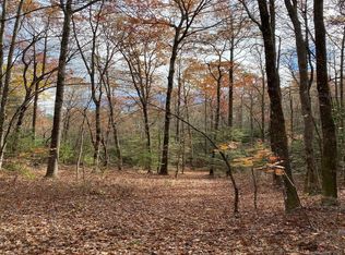 Burrell Mountain Rd, Brevard, NC 28712