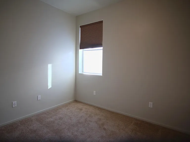 932 E Lustrum Ln — Photo 16