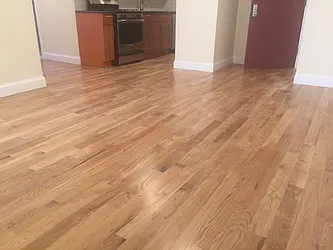 Rented by Alexander Bilu, LREB