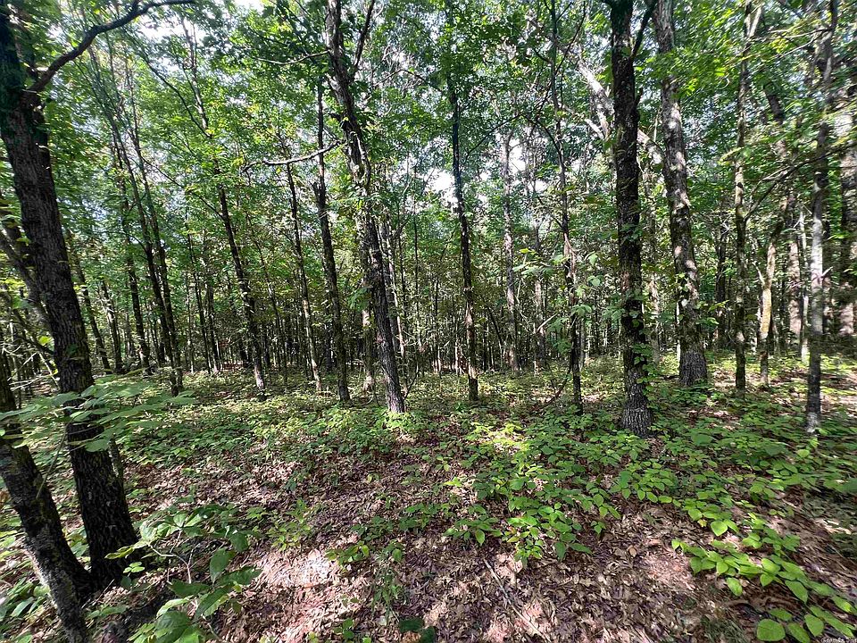 0 County Road 431, Pollard, AR 72456 MLS 23020880 Zillow