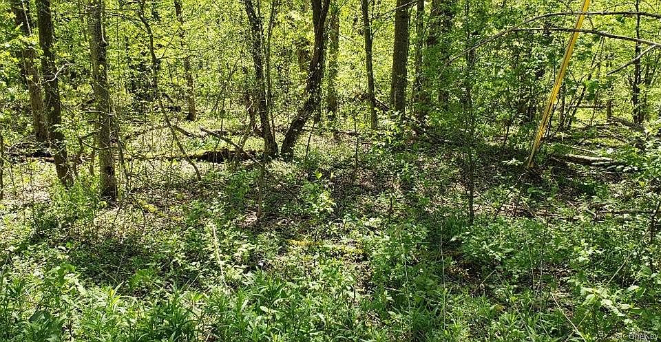 1st image of Park Dr