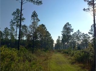 6032 Bill Davis Rd, Glen Saint Mary, FL 32040