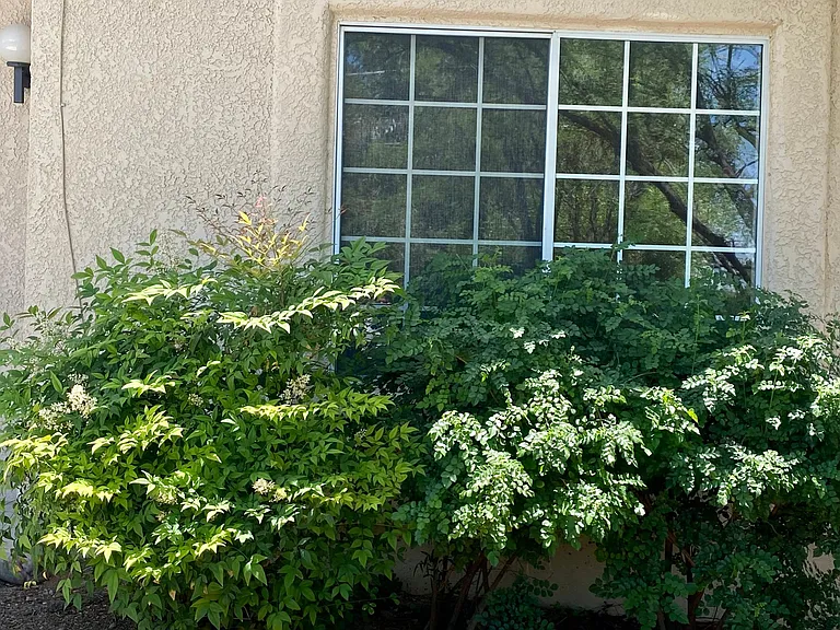 3041 E Loretta Dr — Photo 72