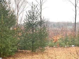 7667 King Rd, Benzonia, MI 49616