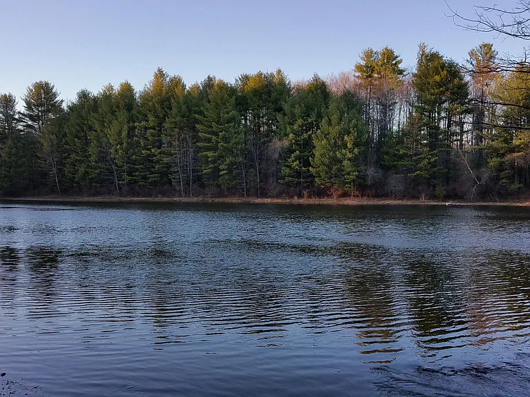Beautiful Lake view