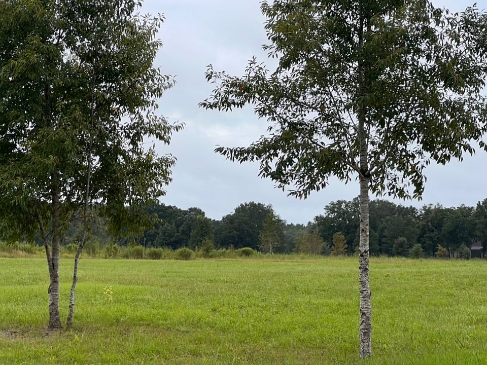 2nd image of LOT 1 Central Rd